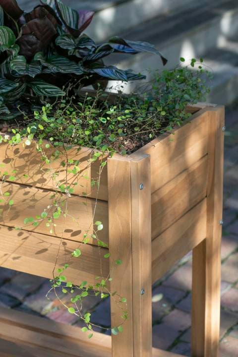 Woodie Hochbeet im Detail