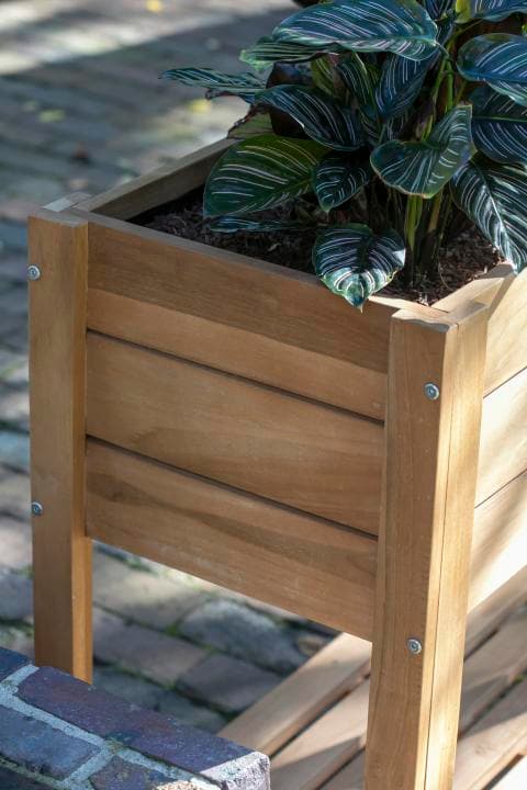 Woodie Hochbeet mit Kräutern